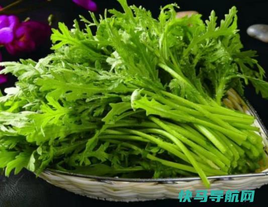 芦蒿和茼蒿是一样的吗？茼蒿可以天天吃吗？