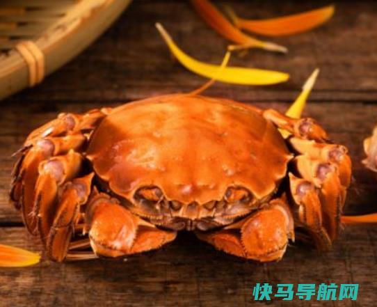 电饭煲怎么蒸梭子蟹？电饭煲蒸梭子蟹要放水吗